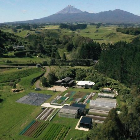 Roebuck Farm Stay Νιου Πλύμουθ Εξωτερικό φωτογραφία