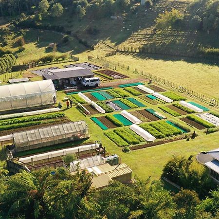 Roebuck Farm Stay Νιου Πλύμουθ Εξωτερικό φωτογραφία