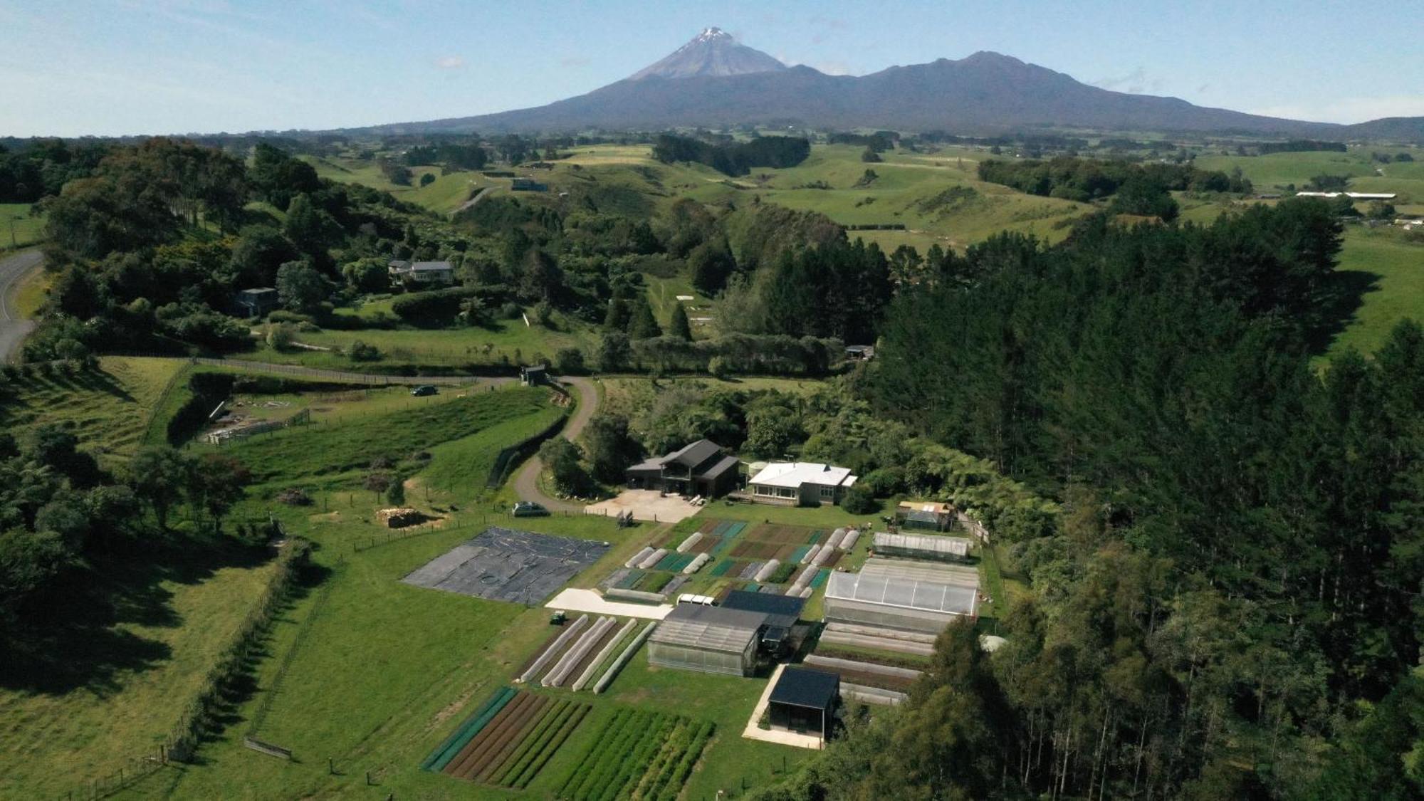 Roebuck Farm Stay Νιου Πλύμουθ Εξωτερικό φωτογραφία